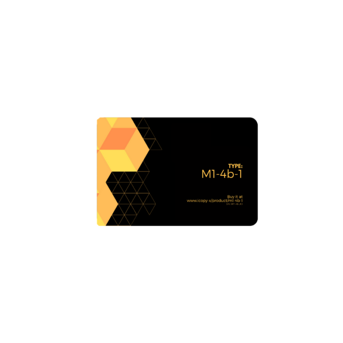 Type: M1-4b (L1)